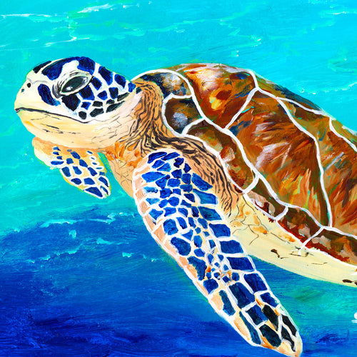 Brown Sea Turtle Art Print 