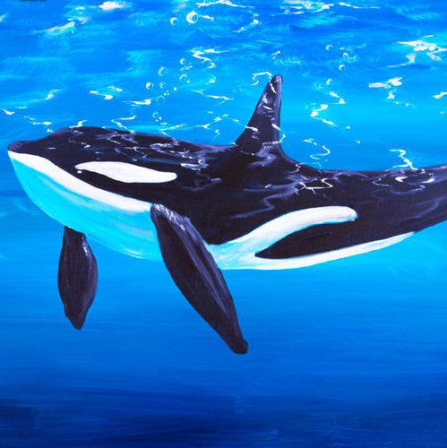 Orca Art Print