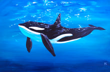 Load image into Gallery viewer, Orca Art Print
