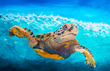 Load image into Gallery viewer, Turtle Underwater Art Print 
