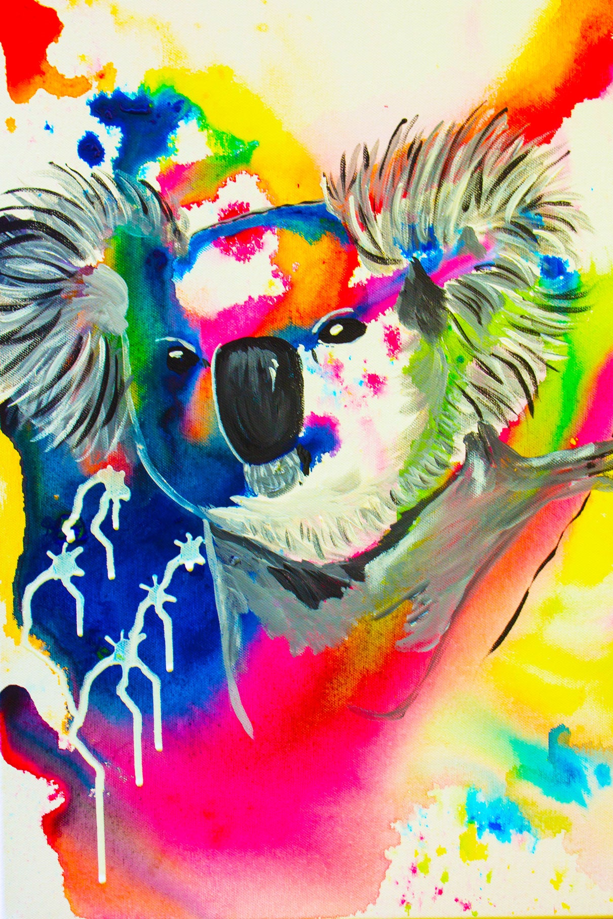 Colourful Koala' Art Print – Maureen Scott Art