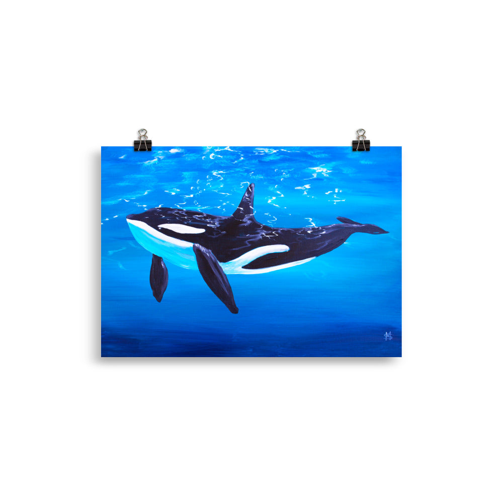 Orca Art Print 20 x 30 cm