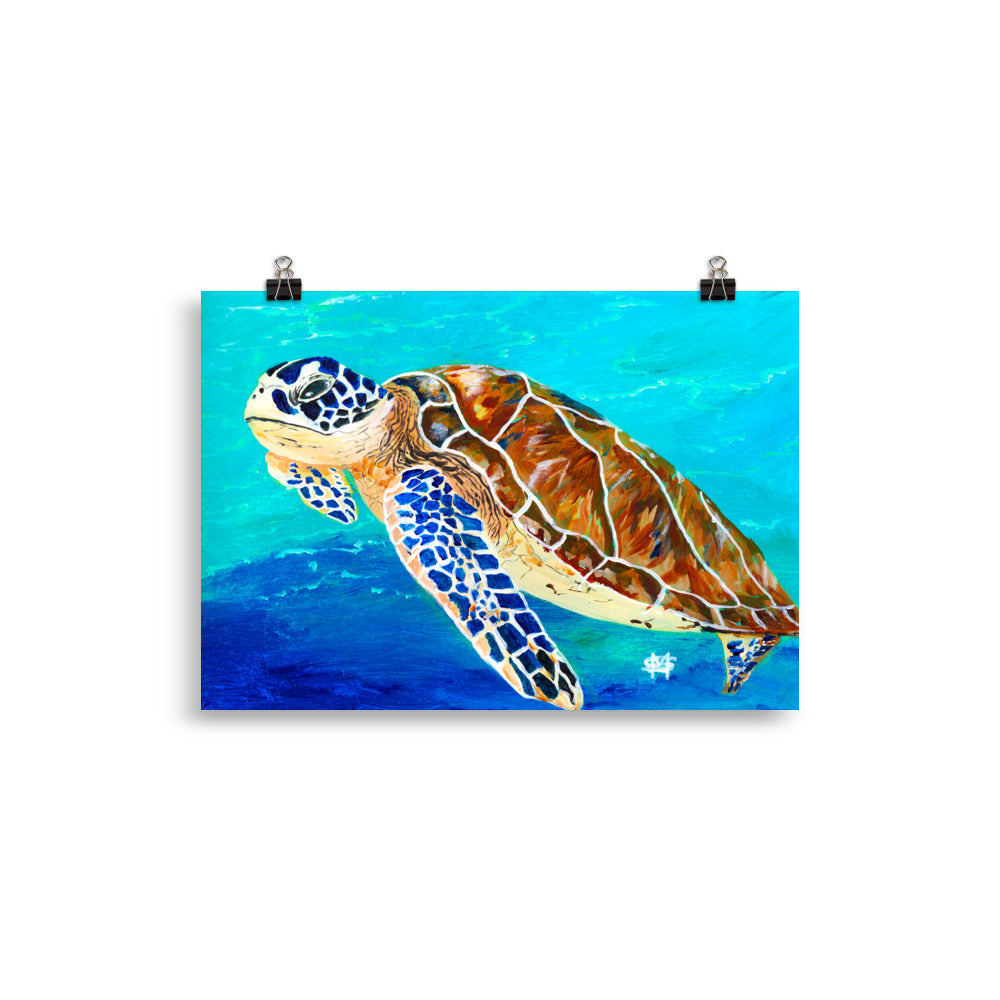 Brown Sea Turtle Art Print 20 x 30cm