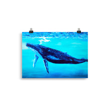 Load image into Gallery viewer, Into the Blue Whale Art Print 20 x 30cm
