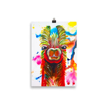 Load image into Gallery viewer, Llama Art Print 20 x 30cm
