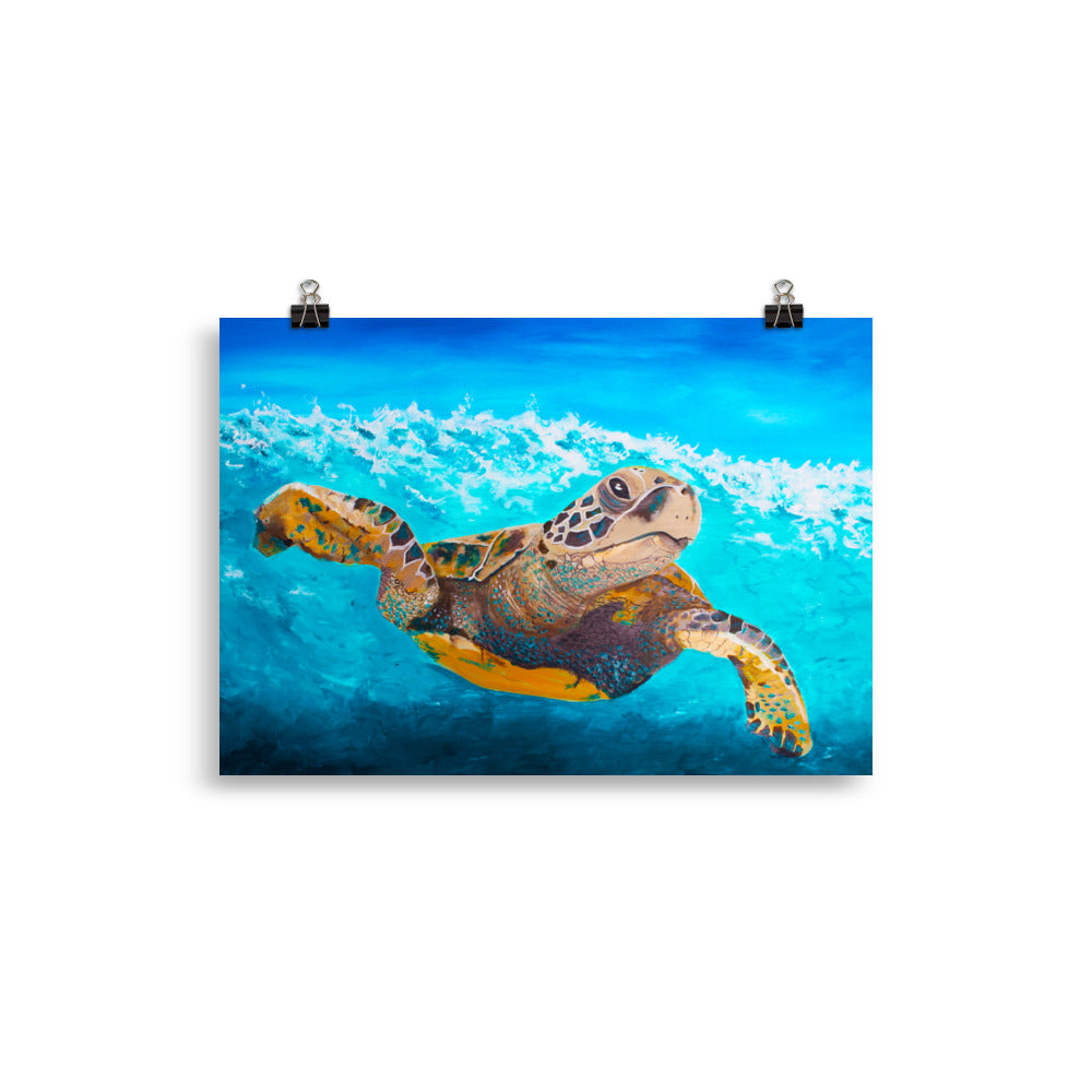 Turtle Underwater Art Print 20 x 30cm