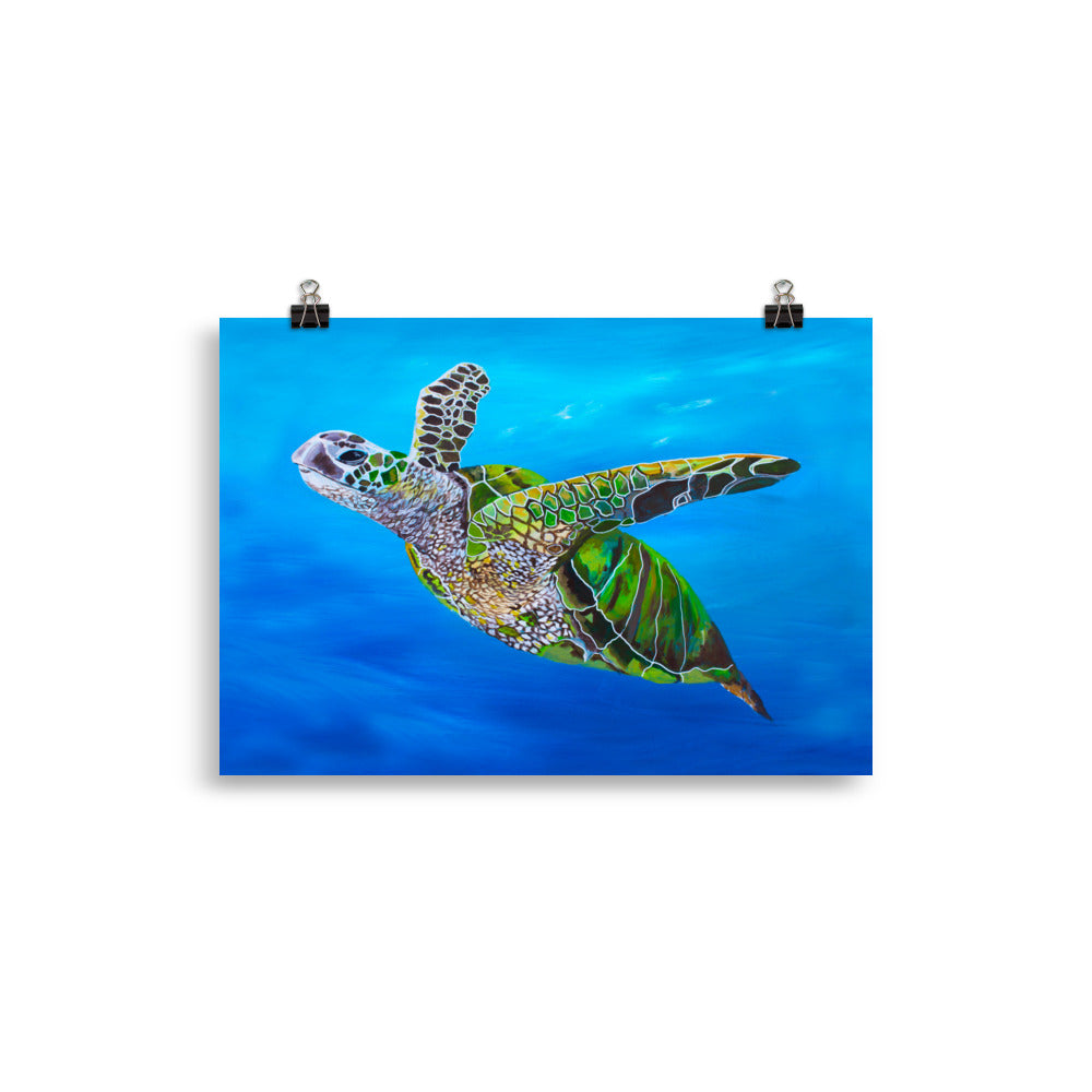 Green Turtle art print  21 x 30 cm