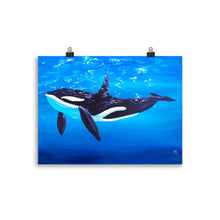 Load image into Gallery viewer, Orca Art Print 30 x 40 cm
