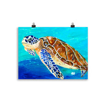 Load image into Gallery viewer, Brown Sea Turtle Art Print 30x 40cm
