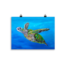 Load image into Gallery viewer, Green Turtle art print 30 x 40 cm
