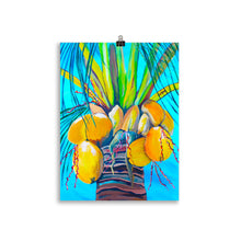 Load image into Gallery viewer, &#39;Coconuts&#39; Art Print
